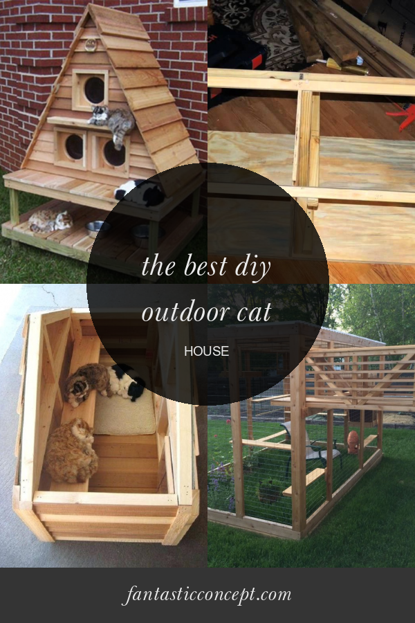 The Best Diy Outdoor Cat House Home, Family, Style and Art Ideas